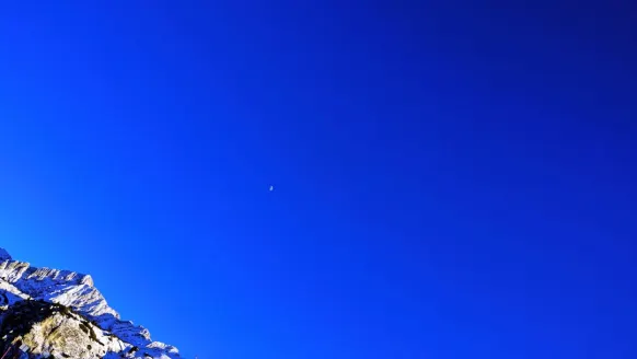 Casino Bet Rocker Soporte